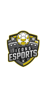 Escudo Icons Esport