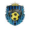 Escudo Role League
